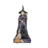 Jim Shore Heartwood Creek "Witch Way? Two-Sided Spooky And Sweet Witch Figurine -Christmas Discount Store 6012752