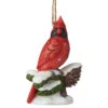 Jim Shore - Heartwood Creek - Caring Cardinals Winter Blessing Ornament -Christmas Discount Store Jim Shore Heartwood Creek Caring Cardinals Winter Bless Ornament 52345.1682956595